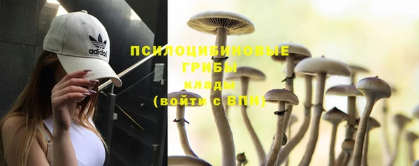 альфа пвп Заволжье