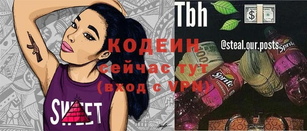 твердый Заводоуковск