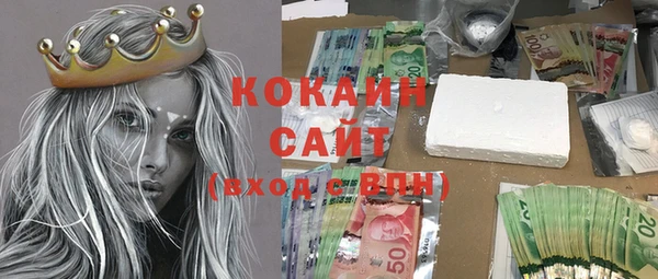 твердый Заводоуковск