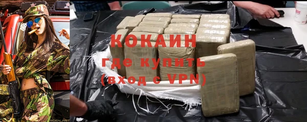твердый Заводоуковск