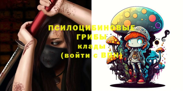 твердый Заводоуковск