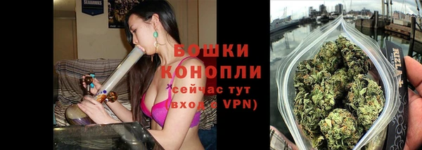 твердый Заводоуковск