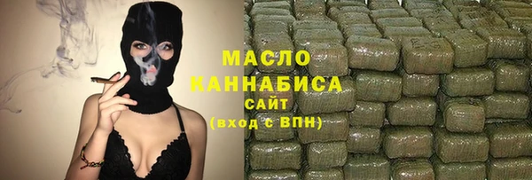 твердый Заводоуковск