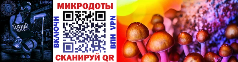 Купить закладки  Малоярославец  Галлюциногенные грибы мухоморы 